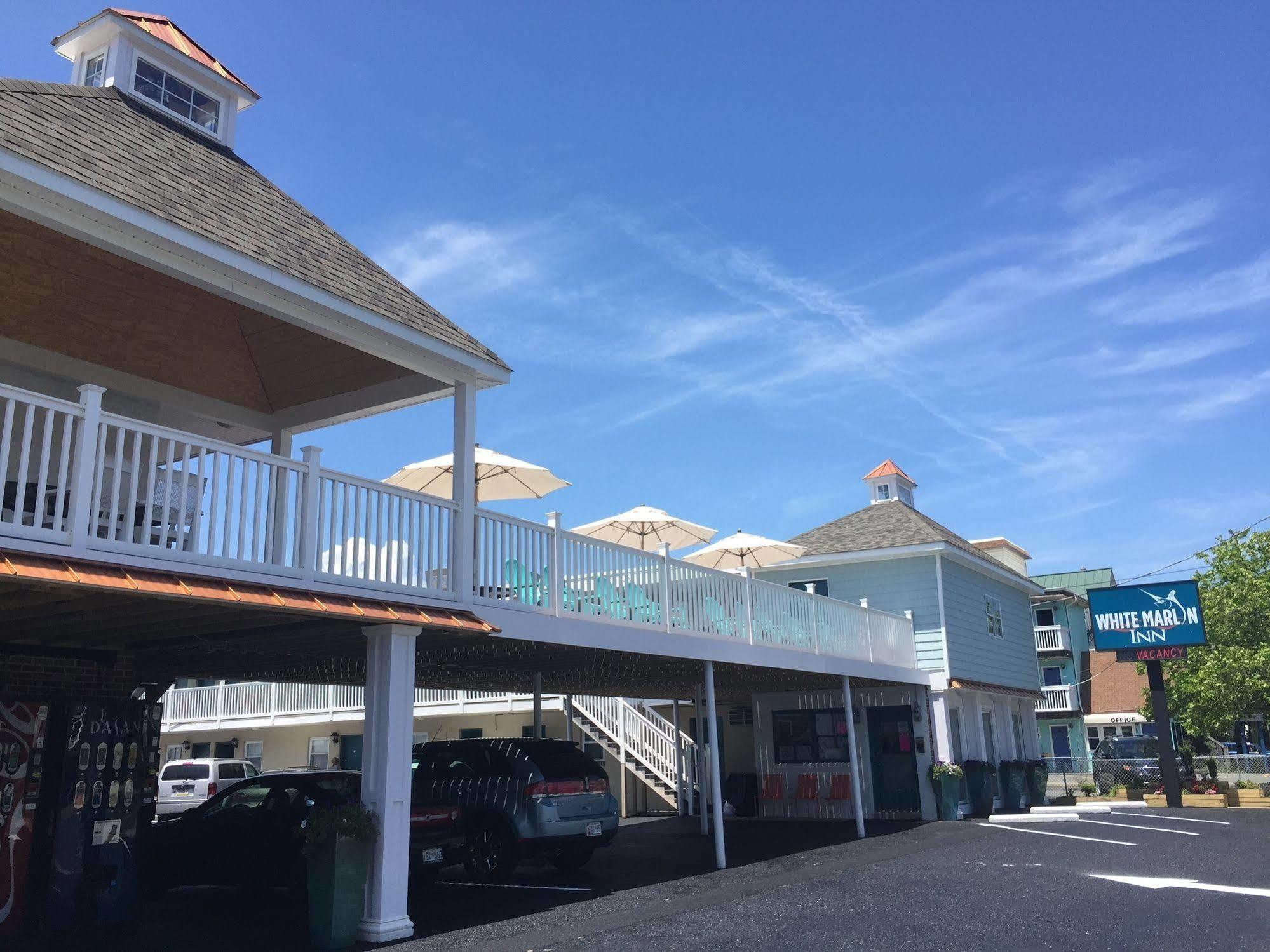 White Marlin Inn Ocean City Exterior photo