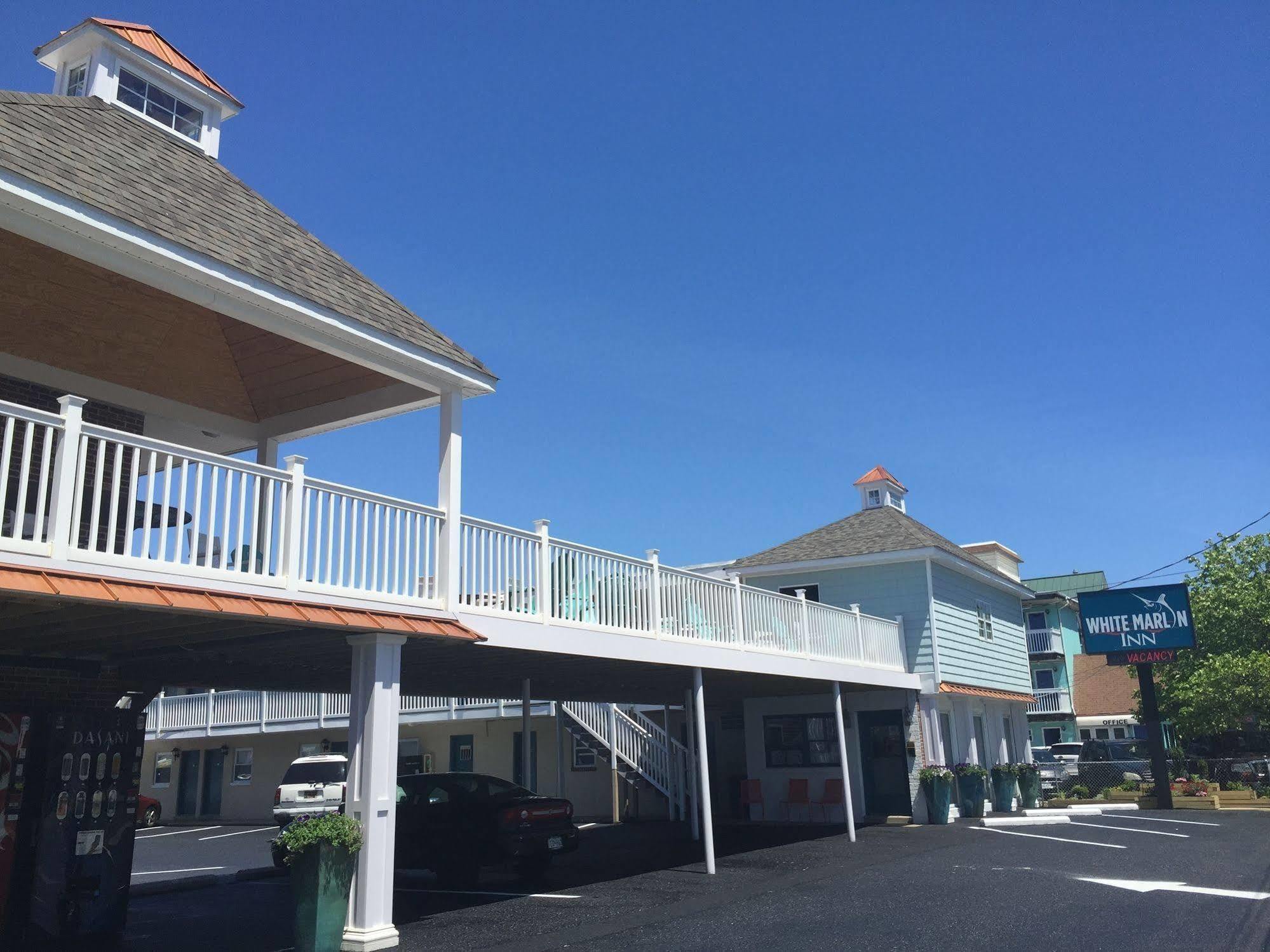 White Marlin Inn Ocean City Exterior photo